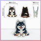 👑マグネット入り🧲両面わんこ🐶クリップ（4個セット）