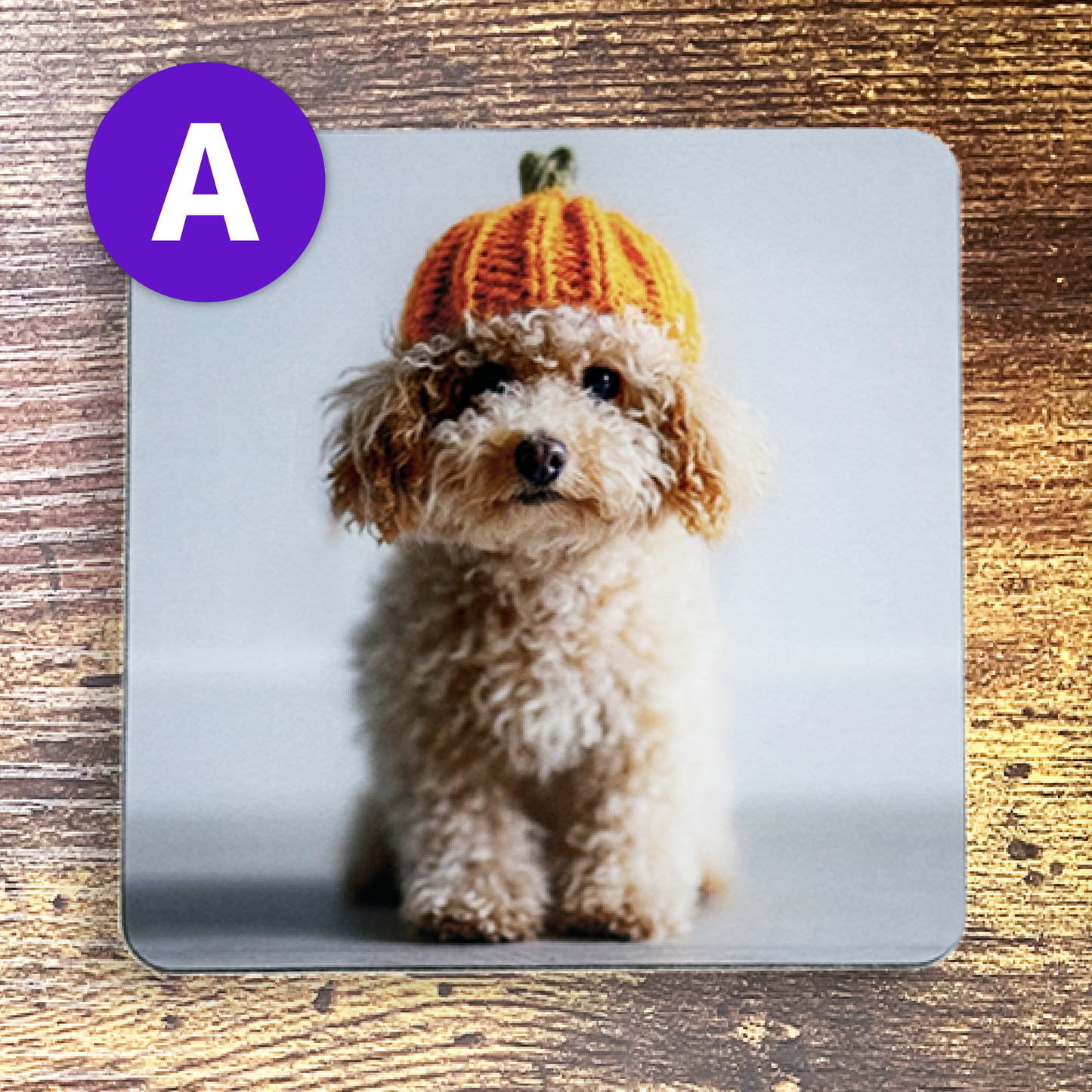 ふわふわワンちゃんのかぼちゃ帽子コースター