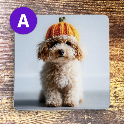 ふわふわワンちゃんのかぼちゃ帽子コースター