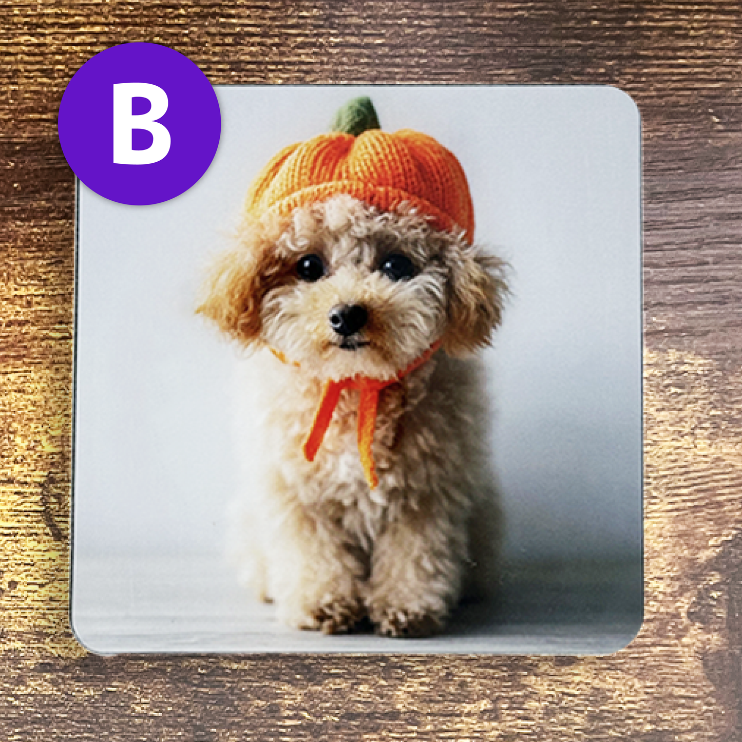 ふわふわワンちゃんのかぼちゃ帽子コースター