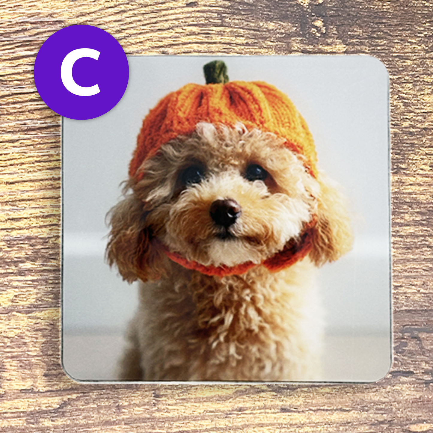 ふわふわワンちゃんのかぼちゃ帽子コースター