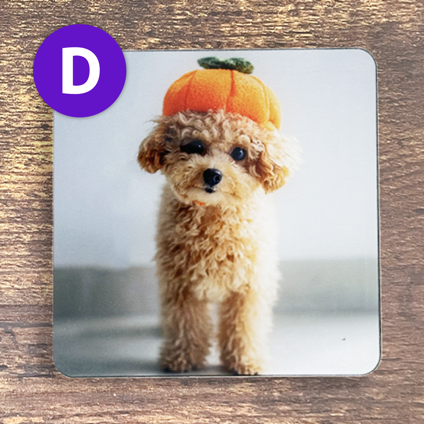 ふわふわワンちゃんのかぼちゃ帽子コースター