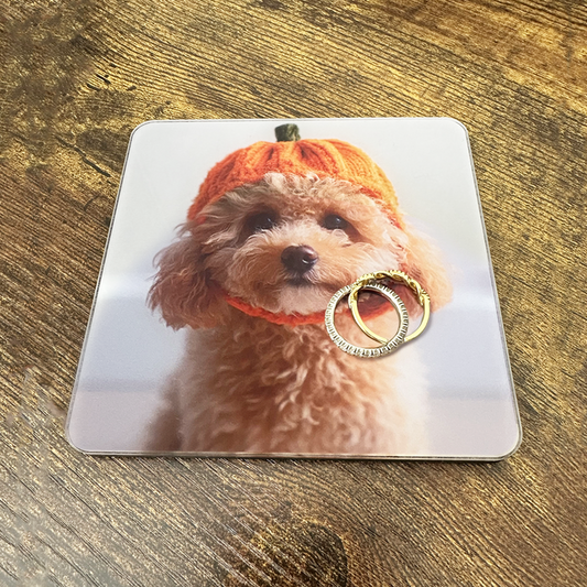 ふわふわワンちゃんのかぼちゃ帽子コースター