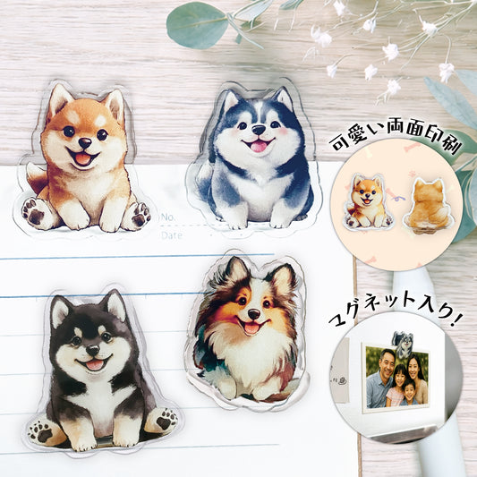 👑マグネット入り🧲両面わんこ🐶クリップ（4個セット）