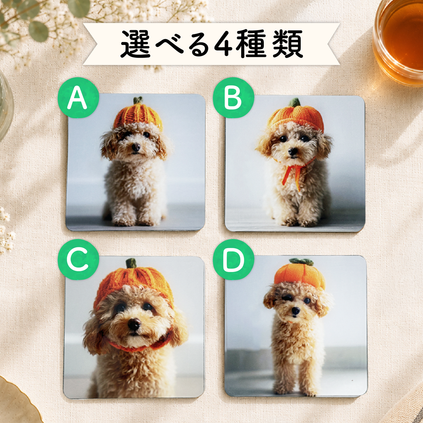 👑ふわふわワンちゃんのかぼちゃ帽子コースター