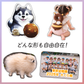 👑好きな形で作れるコースター（A4サイズ以内）